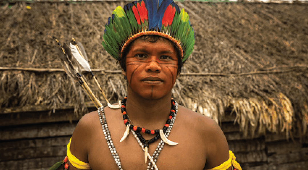 Realidade Indígena no Brasil